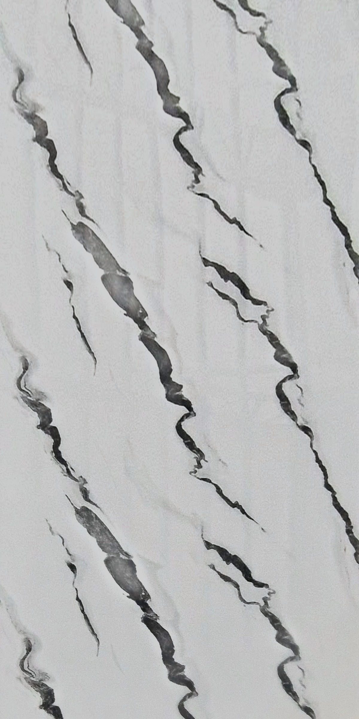 Textura da placa inteira Bianco Nero, de frente